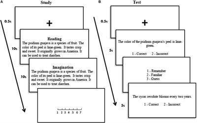 Acquiring New Factual Information: Effect of Prior Knowledge